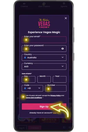 vegasnow-fill-personal-details